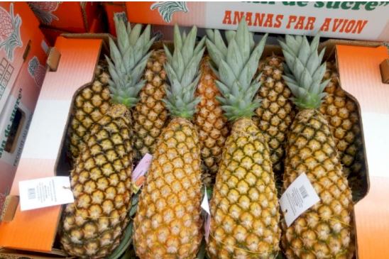 Ananas from Bénin